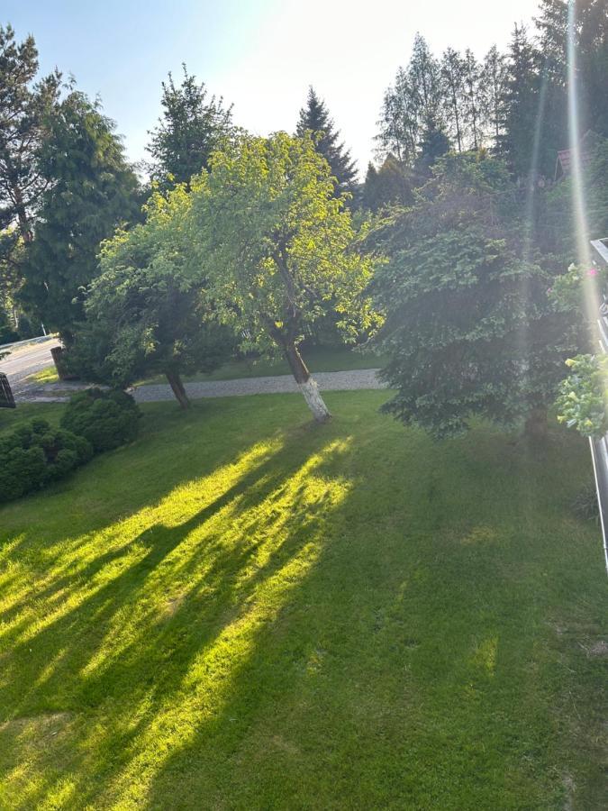 Apartment Stokrotka Lądek-Zdrój