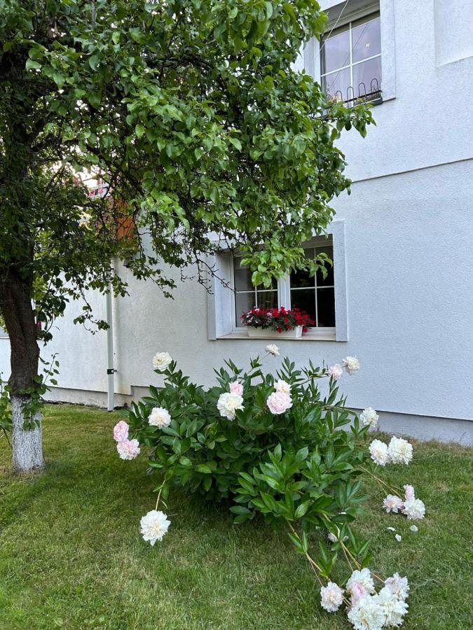 Stokrotka Apartment *